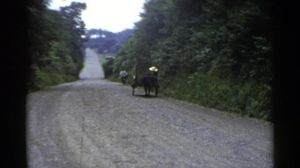 1953 Japan home-movie frame showing a horse-drawn cart and distant cyclist on a tree-lined gravel road.
