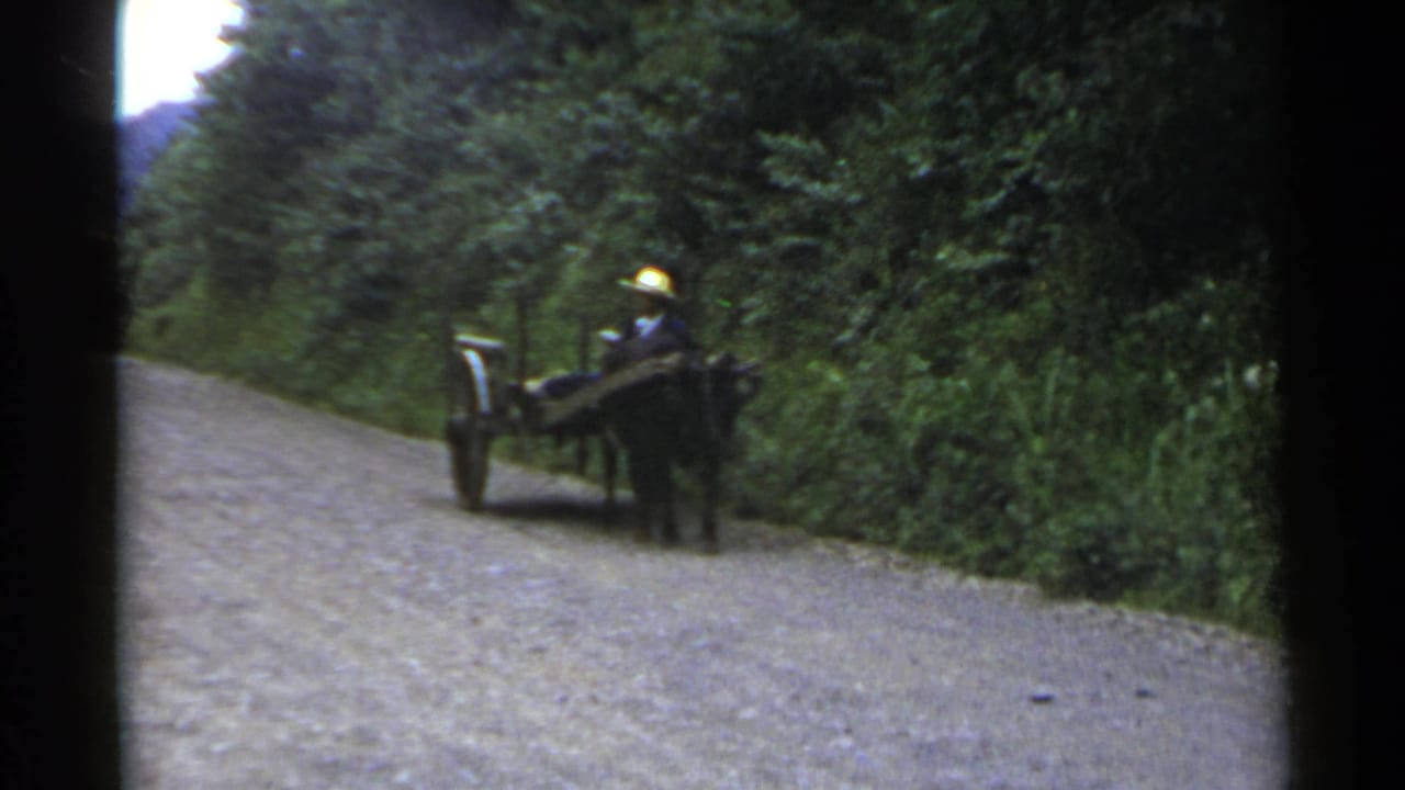 1953 Japan 8mm frame showing a man in a straw hat guiding a rustic wooden wagon on a tree-lined gravel path.