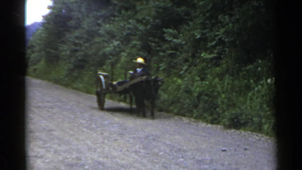 1953 Japan 8mm frame showing a man in a straw hat guiding a rustic wooden wagon on a tree-lined gravel path.