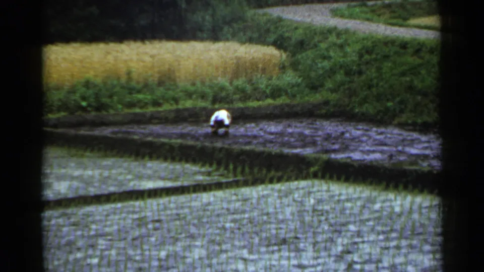 A lone worker crouches along a wet paddy terrace in rural Japan, framed by flooded rice rows and surrounding vegetation.