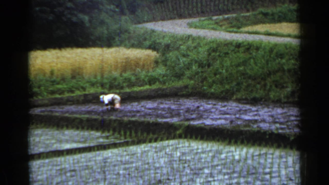 A worker bends over in a flooded rice paddy with terraced fields and a rural path behind.