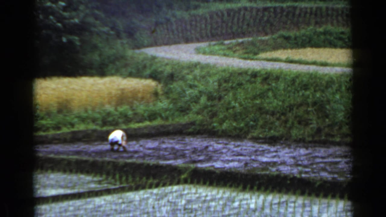 Farmer bent over in a muddy rice paddy with terraced fields behind.
