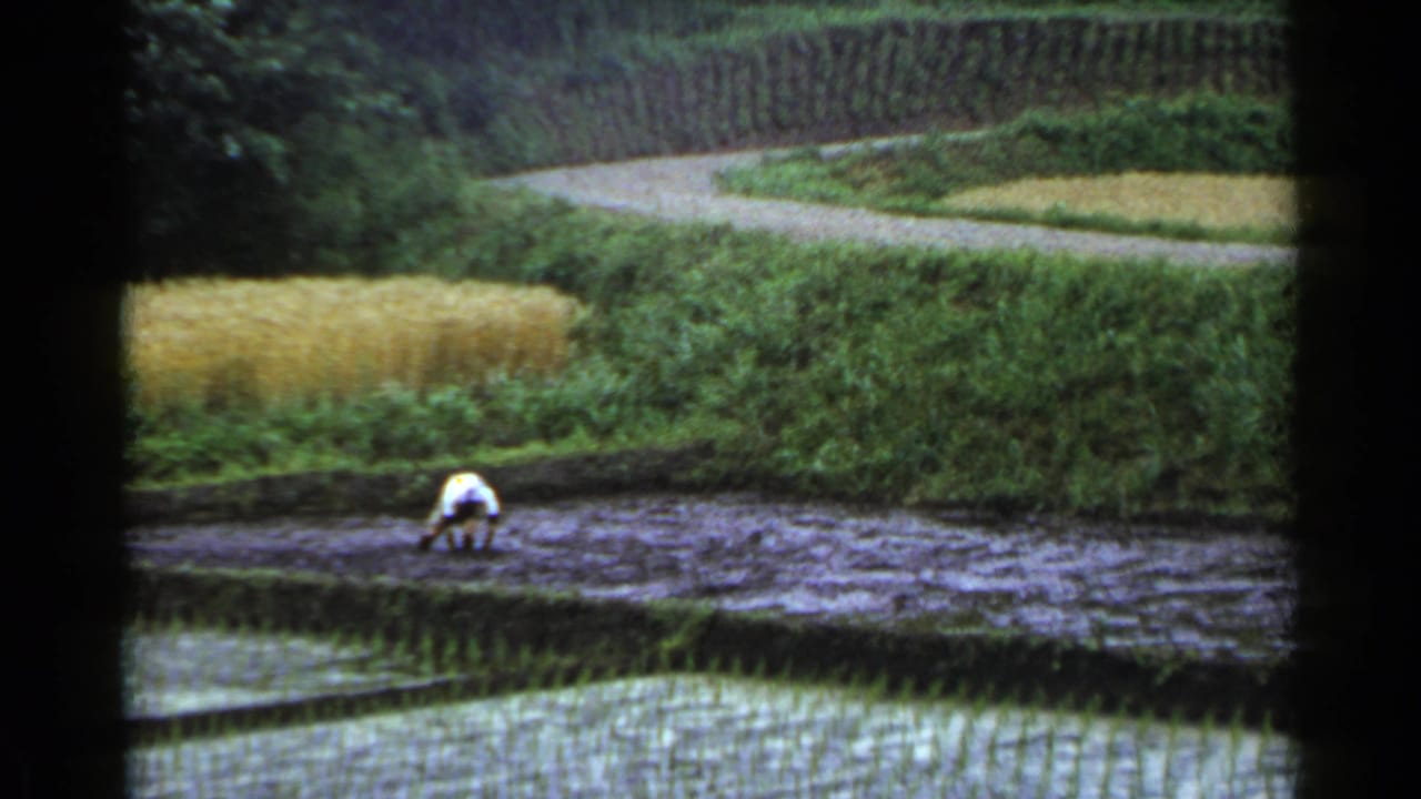 Archival 1953 Japan frame showing a small figure working in wet rice fields, with terraced crops and a curving path in the background.