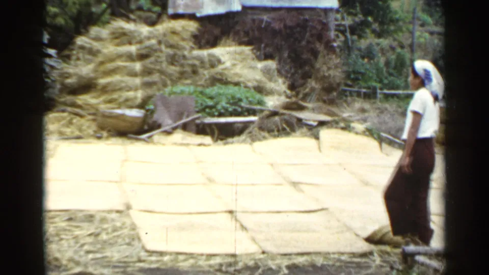 1953 Japan home-movie frame of a woman standing near laid-out straw mats, stacked straw, vegetation, and a simple rural structure.