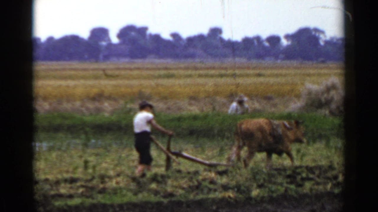 A farmer in rural Japan walks behind a wooden plow pulled by a brown ox, with hay piles, seated workers, and open fields in the background.
