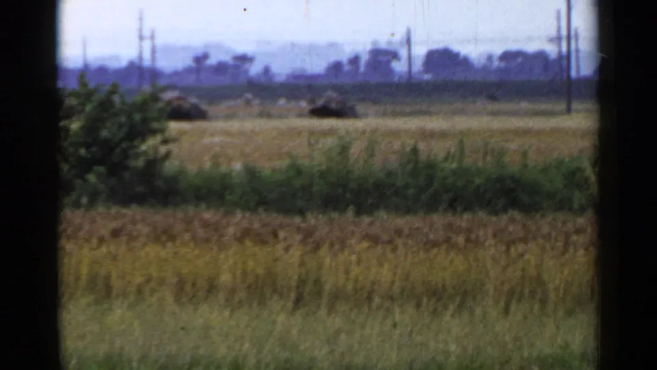 A wide rural landscape in Japan in 1953 shows cultivated fields, green shrubs, distant stacks, utility poles, and a hazy tree line.