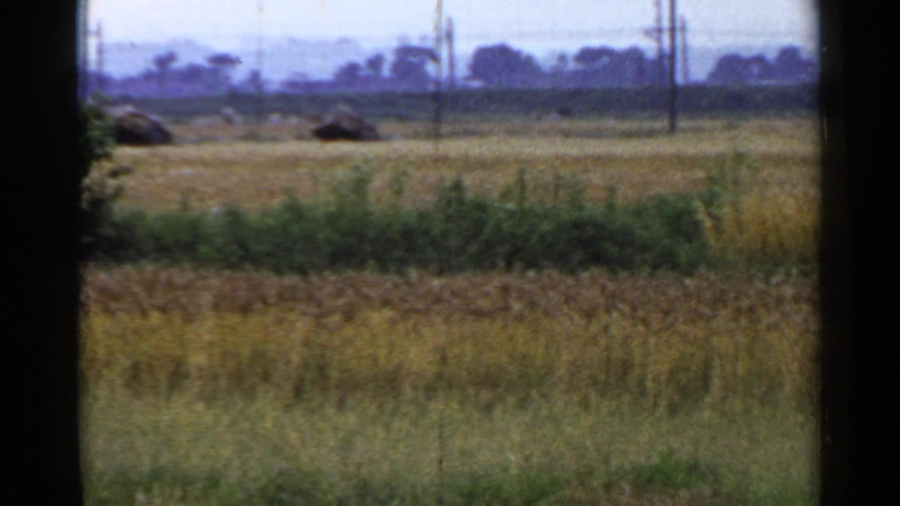 Distant rural fields seen through dark window-like borders, with poles and hazy sky beyond the grain.