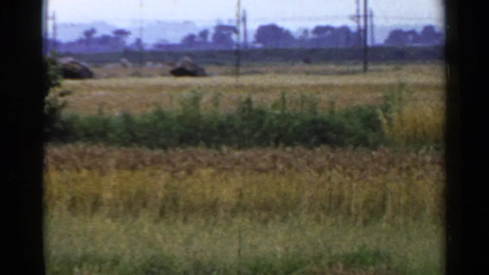 1953 Japan home-movie view of open rural fields, tall grain, distant utility poles, and a hazy horizon framed by dark vertical borders.