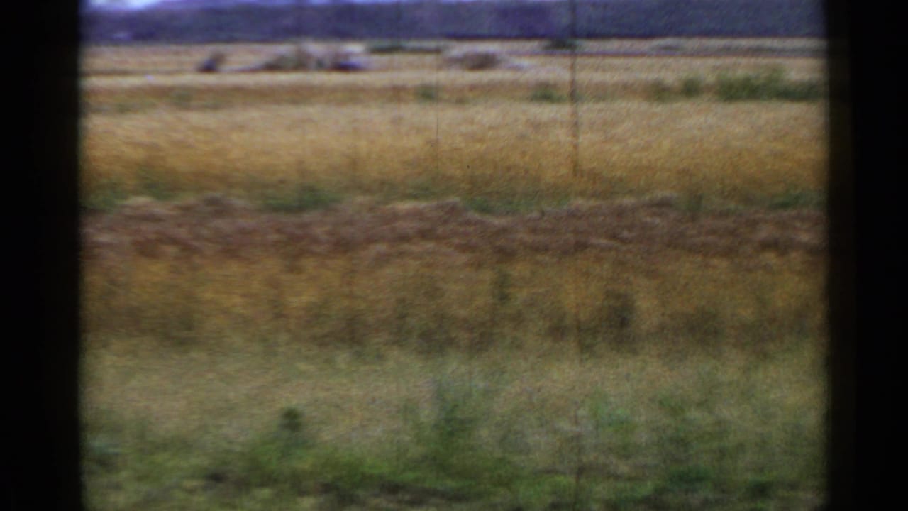 Open field with tall grass and grain, distant low structures, poles, and a dark border at the left edge.