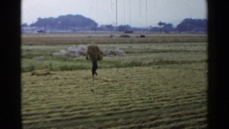 A distant farmer in Japan 1953 footage carries a large rice or straw bundle through an open harvested field.