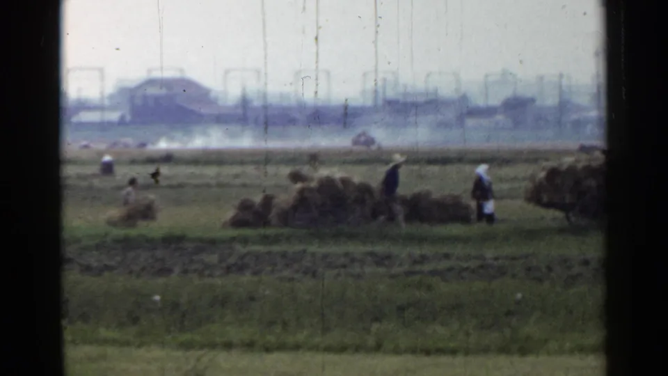 The final 1953 Japan frame shows field workers and bundled grain against a hazy distant industrial skyline.