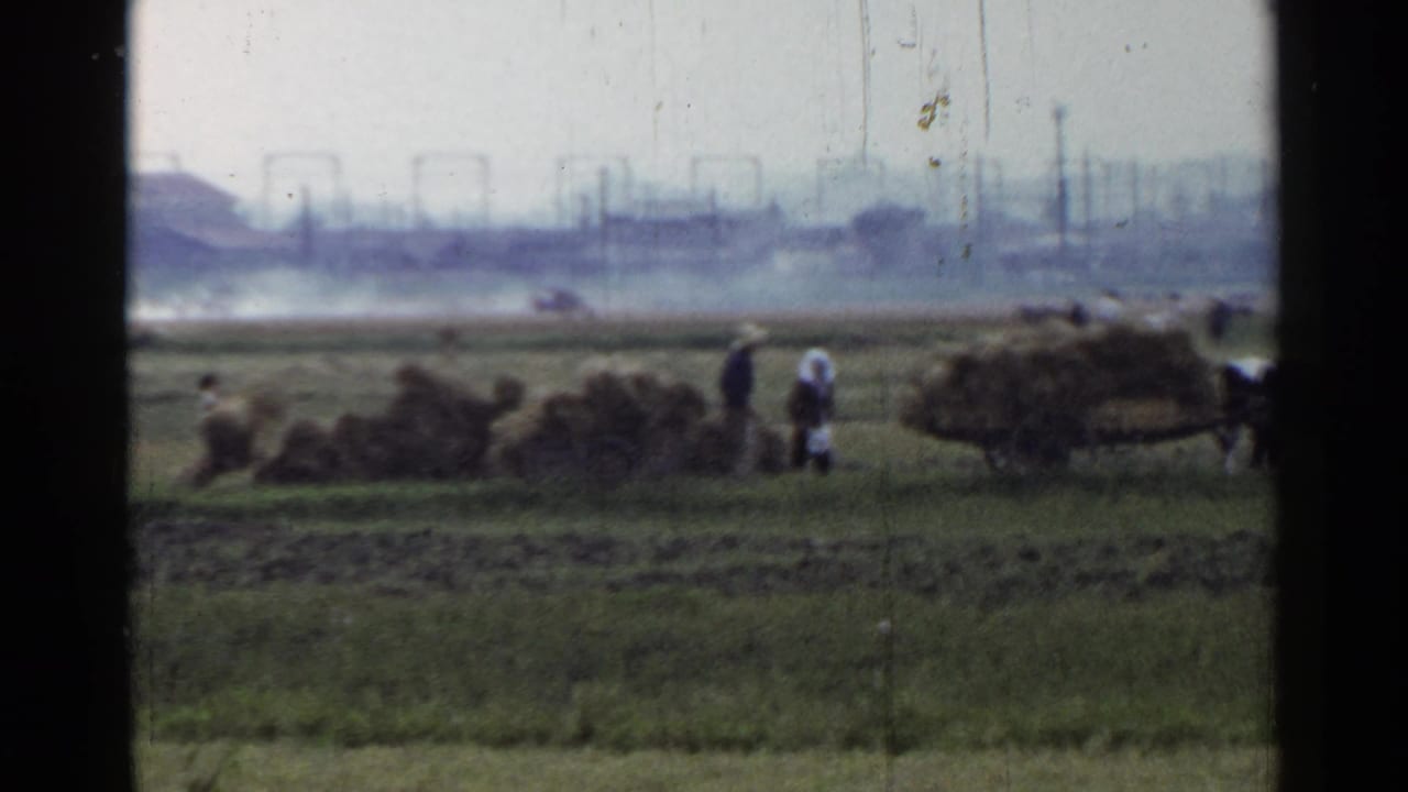 Workers gather straw in a green field with a hazy industrial skyline beyond.