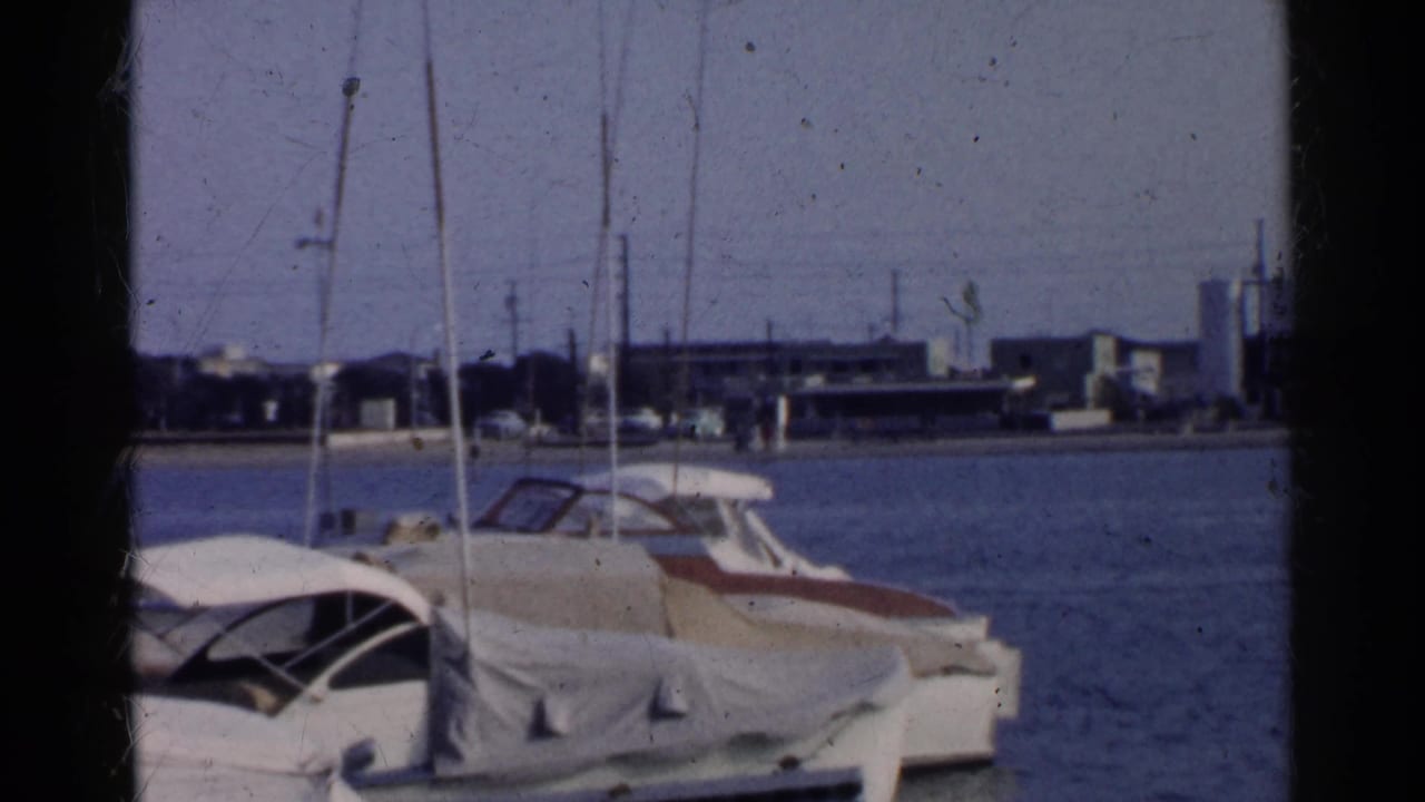 Harbor dock with covered boats, sailboat masts, water, and distant shoreline buildings.