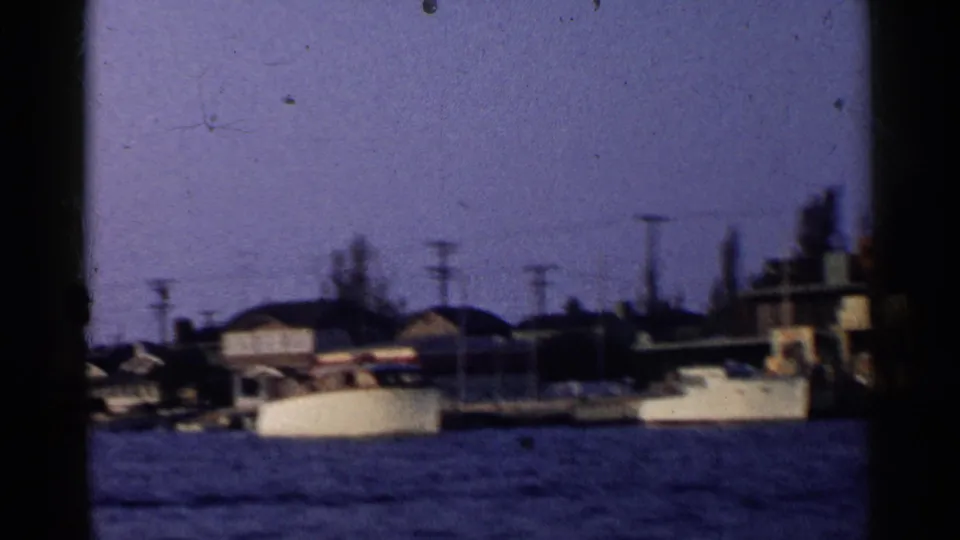 A small white boat sits or moves near the shoreline in a California harbor, with buildings, trees, and utility poles behind it.