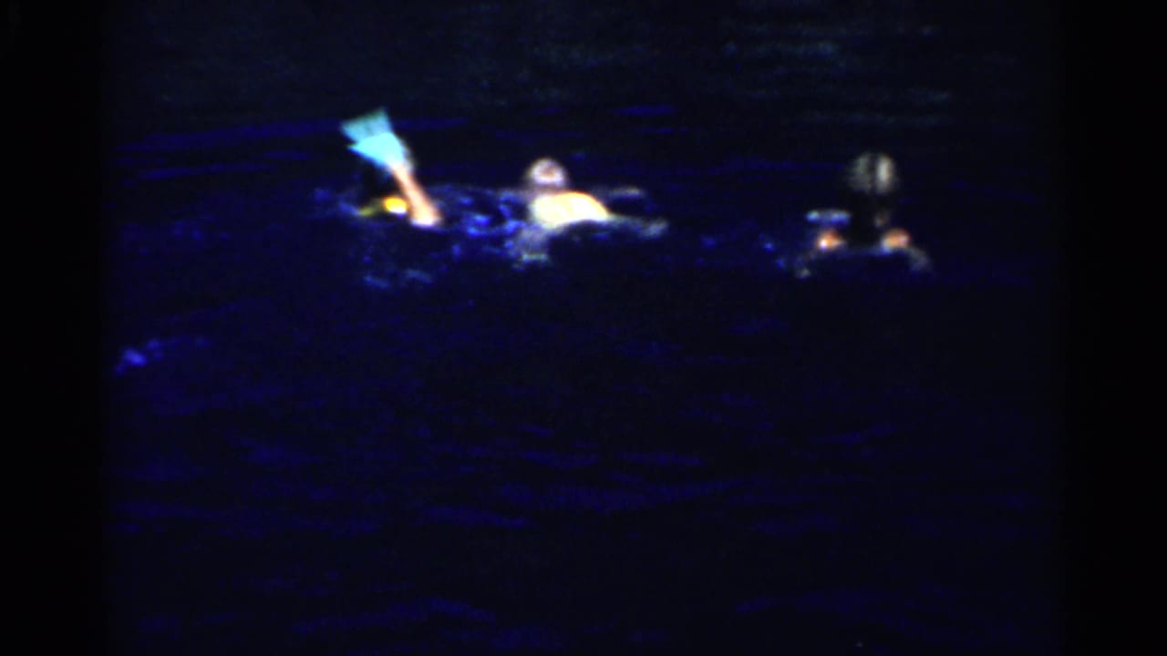 People in dark marina water, with one arm raised above the surface.