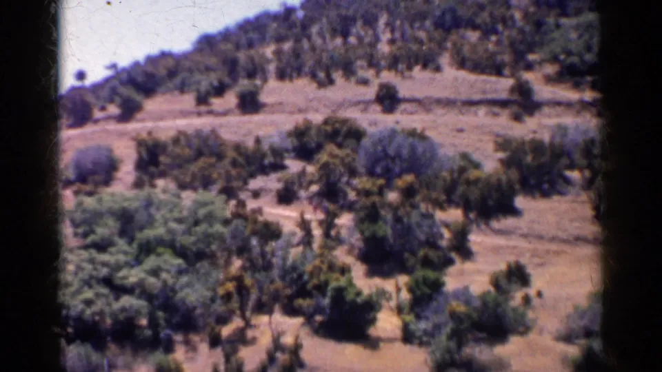 Dry California hillside with scattered trees and brush above the lake, captured in soft 1950s 8mm color.