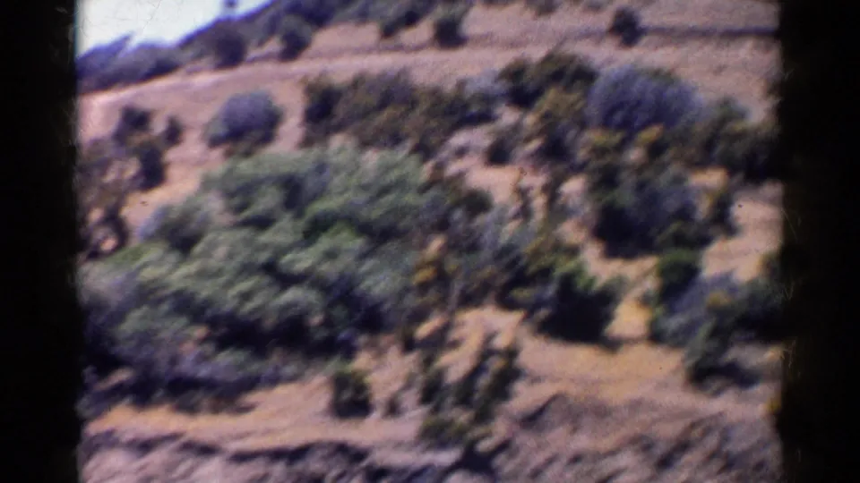 Soft 8mm view of California hillside vegetation and rocky lakeside terrain, with motion blur from the handheld camera.
