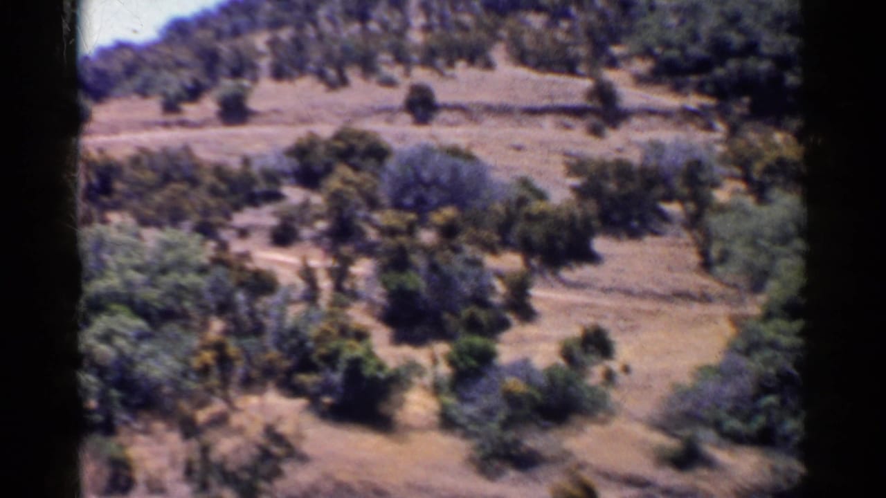 Dry hillside with scattered shrubs and small trees in soft vintage color.