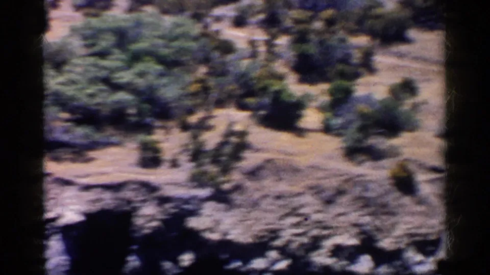 1955 California 8mm frame from a moving pan across dry terrain, brush, and a denser patch of green trees.