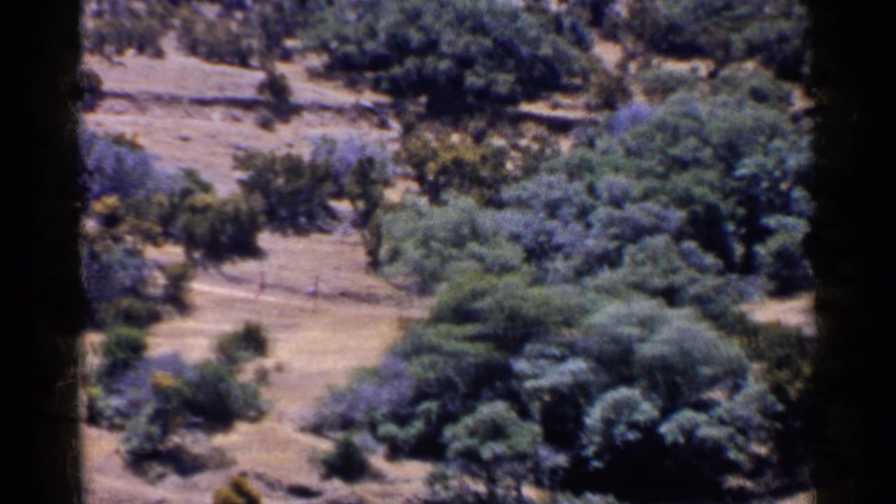 1955 California 8mm frame showing a dry, tree-dotted hillside with two distant figures moving through the landscape.