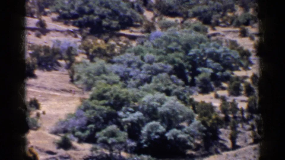 Wide 1955 California home-movie view of dry terrain, tree clusters, and small distant people in open countryside.