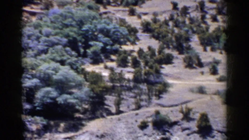 1955 California 8mm frame with dry sloping ground, scattered trees, and tiny figures near a pale clearing or path.