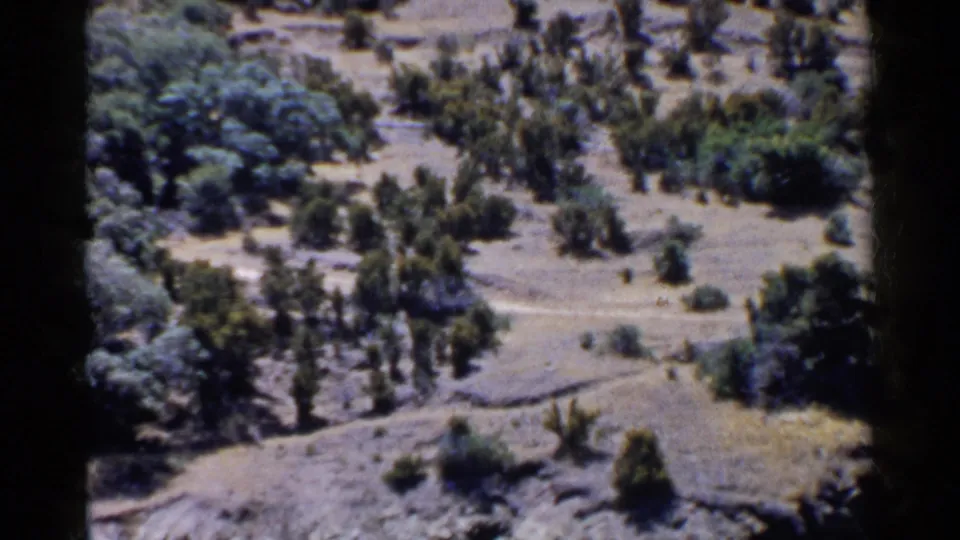 Final 1955 California home-movie frame showing a dry hillside, scattered trees, and two very small people in the distance.