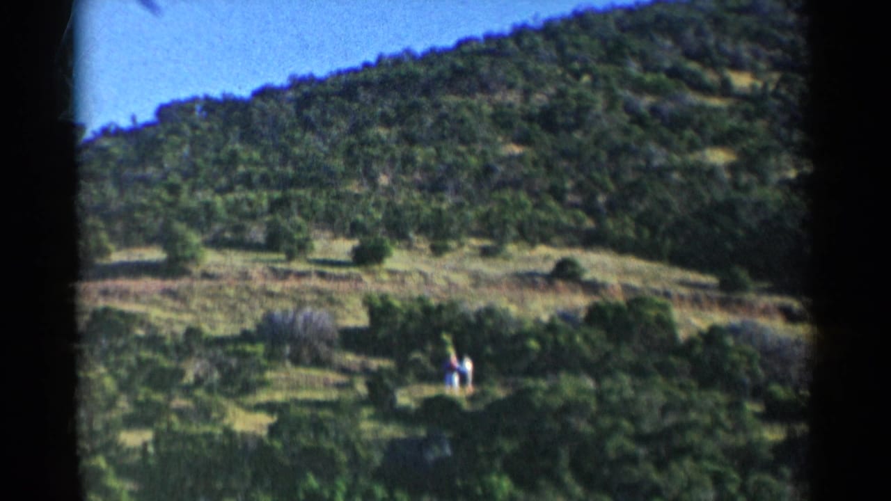 Two distant people walk across a sunlit California hillside in 1955 home-movie footage, with scattered trees and dry grass around them.
