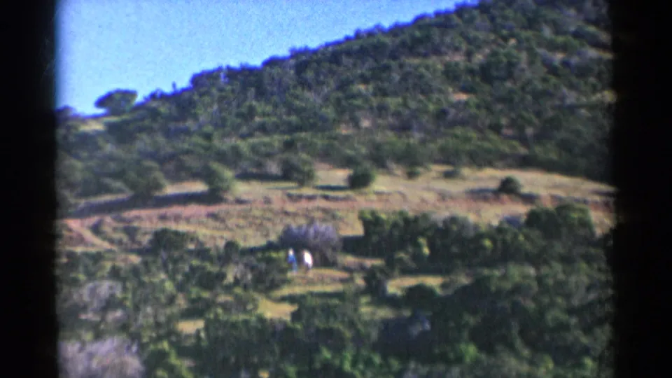 1955 California home-movie frame with two small figures near brush at the base of a green and dry hillside.