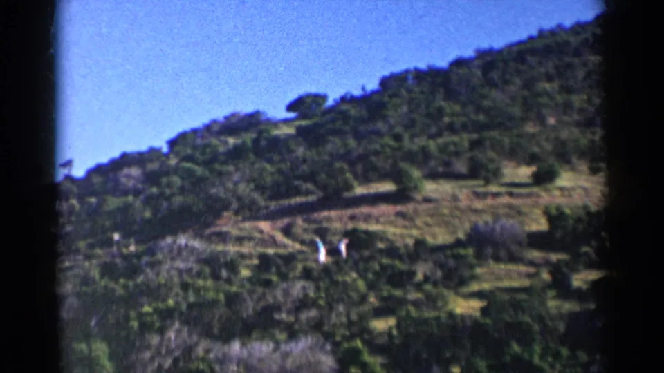 Color 8mm frame of green California hills with scrub, winding dirt paths, blue sky, and distant walkers.