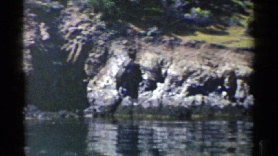 1955 California 8mm frame of a rocky shoreline ledge, shadowed cliff textures, grass above, and reflective water below.