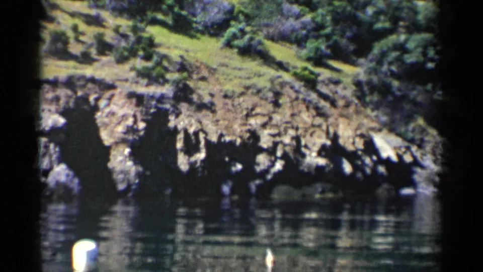 1955 California 8mm frame of jagged shoreline rocks, gentle lake ripples, and green hillside vegetation.