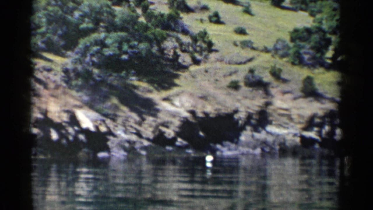 Green hillside and rocky shoreline reflected in calm water with white buoys in the foreground.