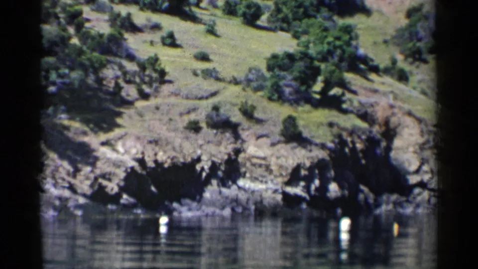 1955 California waterside view with rocky banks, green hillside vegetation, calm reflections, and white buoys near the shore.