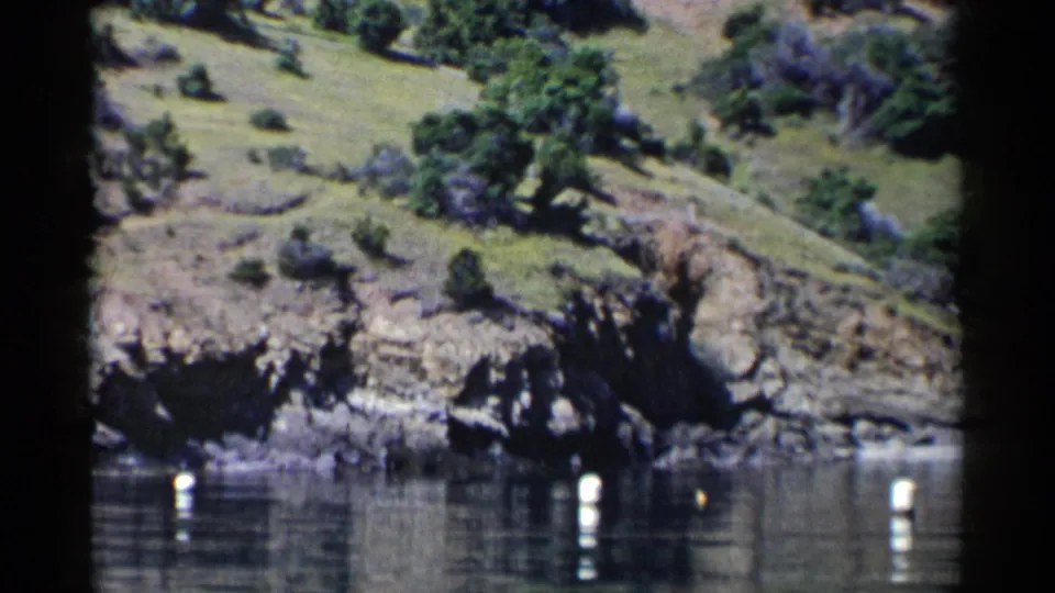 1955 California 8mm view of a shrub-covered hillside descending to rocks and still water marked by white buoys.