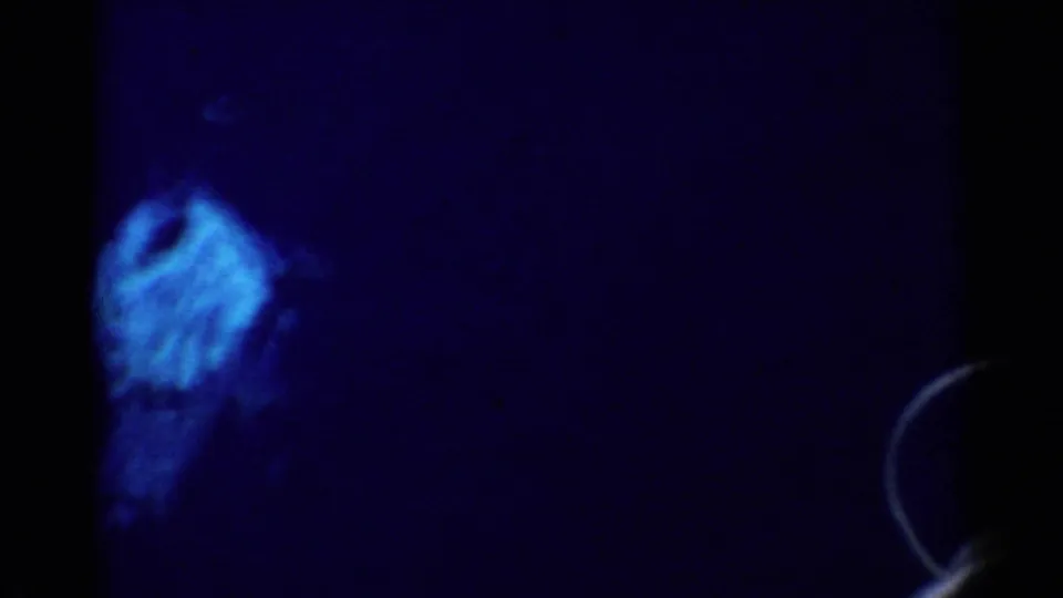 1955 California 8mm frame showing dark blue water and a faint pale shape below the surface, with heavy grain and edge darkness.