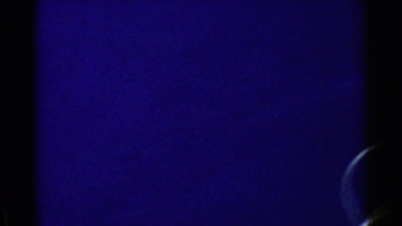 Mostly blue water with a partial head or ear at the right edge.