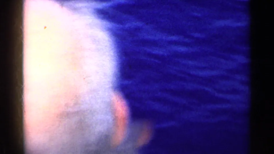 A partial passenger head or ear fills the left edge while the camera looks toward rippled blue water in this 1955 California 8mm frame.