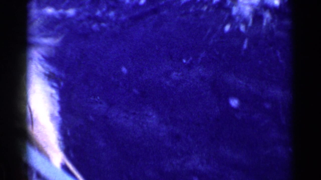 Dark blue underwater frame with indistinct film grain and partial edge shapes.