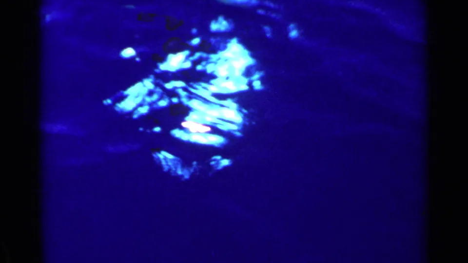 Underwater 8mm frame with bright blue highlights and fish-like forms visible below the surface during the fishing trip.