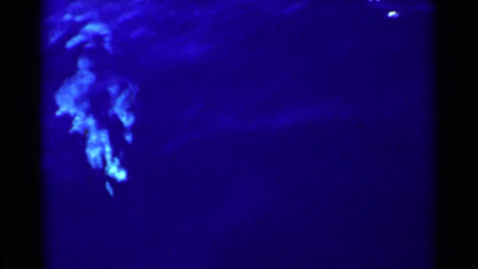 Underwater home-movie frame showing a pale fish-like form against dark blue water in the California fishing sequence.