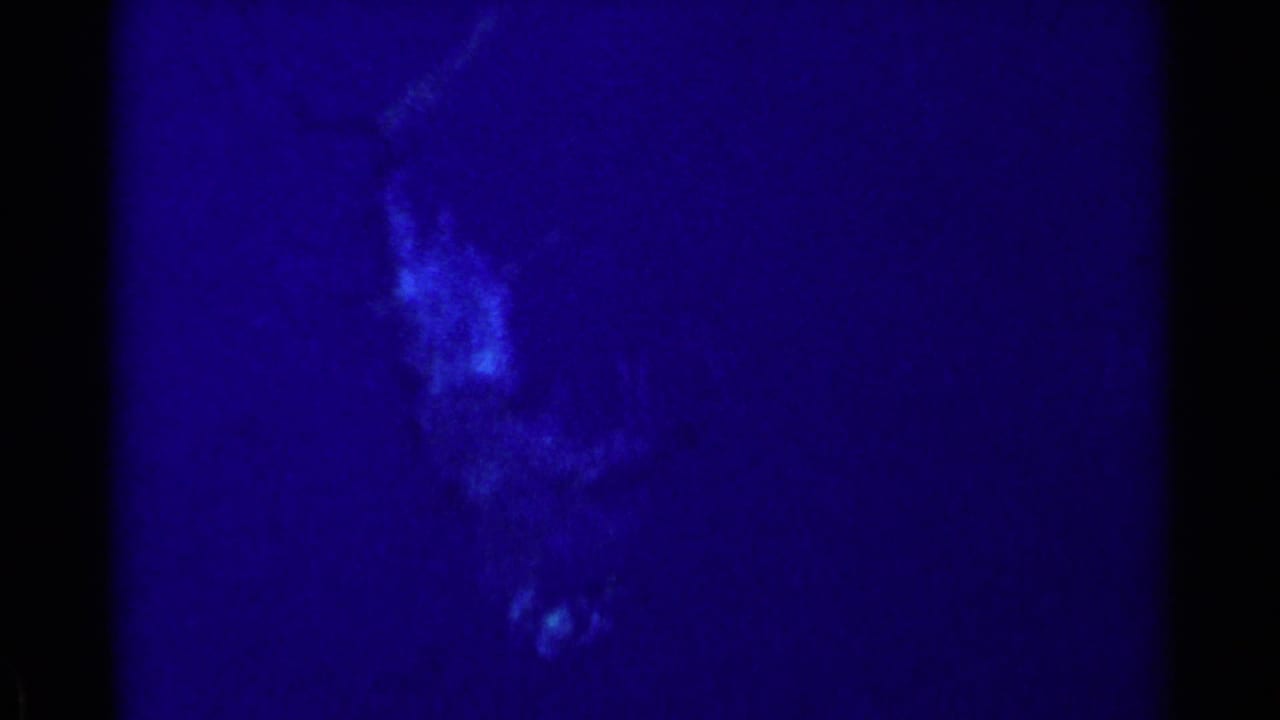 Dark blue underwater view with indistinct pale forms and black frame edges.
