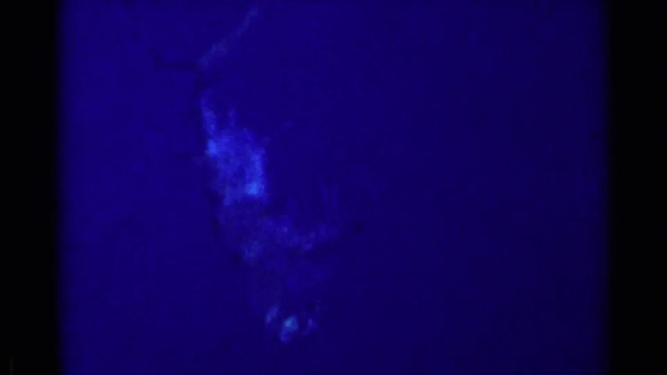 1955 California 8mm frame showing a dark blue underwater or viewing-port scene with soft pale shapes, strong grain, and black film-frame borders.