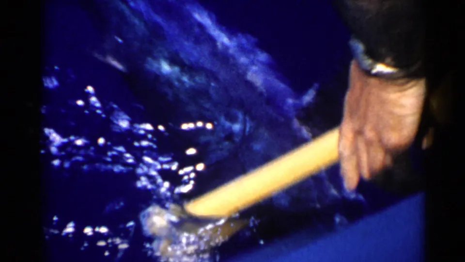 A hand grips a yellow pole near splashing water, possibly during the handling of a catch in this 1950s California home-movie fishing scene.