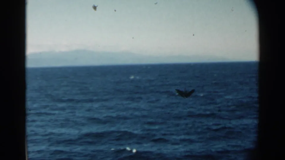1958 Hawaii ocean view with distant land and a small aircraft-like shape crossing above the water in the 8mm frame.