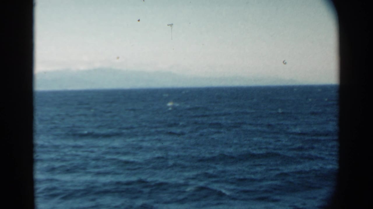 Open ocean beneath a pale sky with a faint distant shoreline.