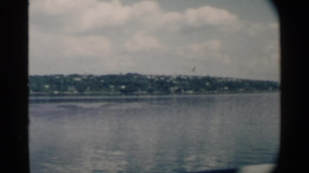 Calm water and distant shoreline seen through dark rounded frame edges.