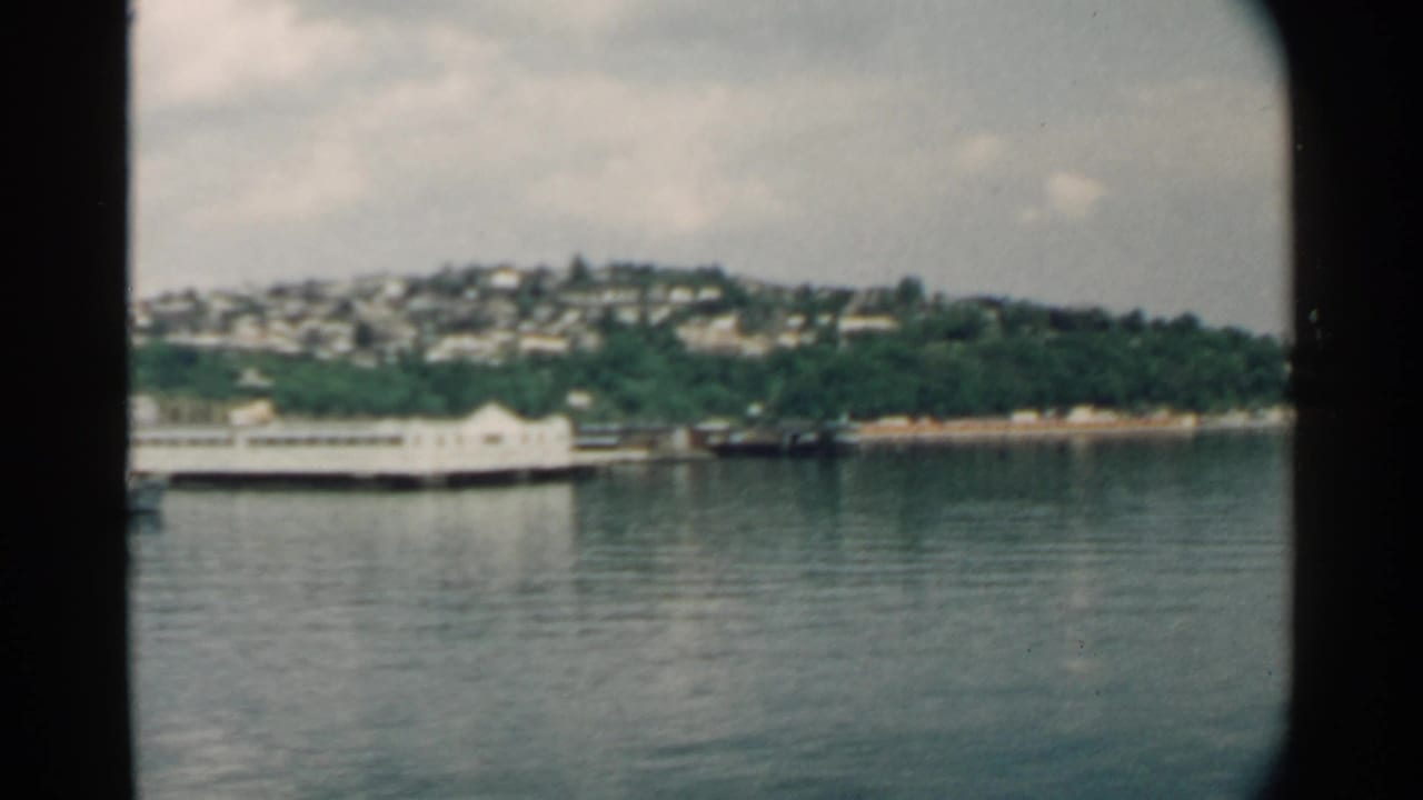 Harbor water with a long pier, shoreline trees, and hillside houses beyond.