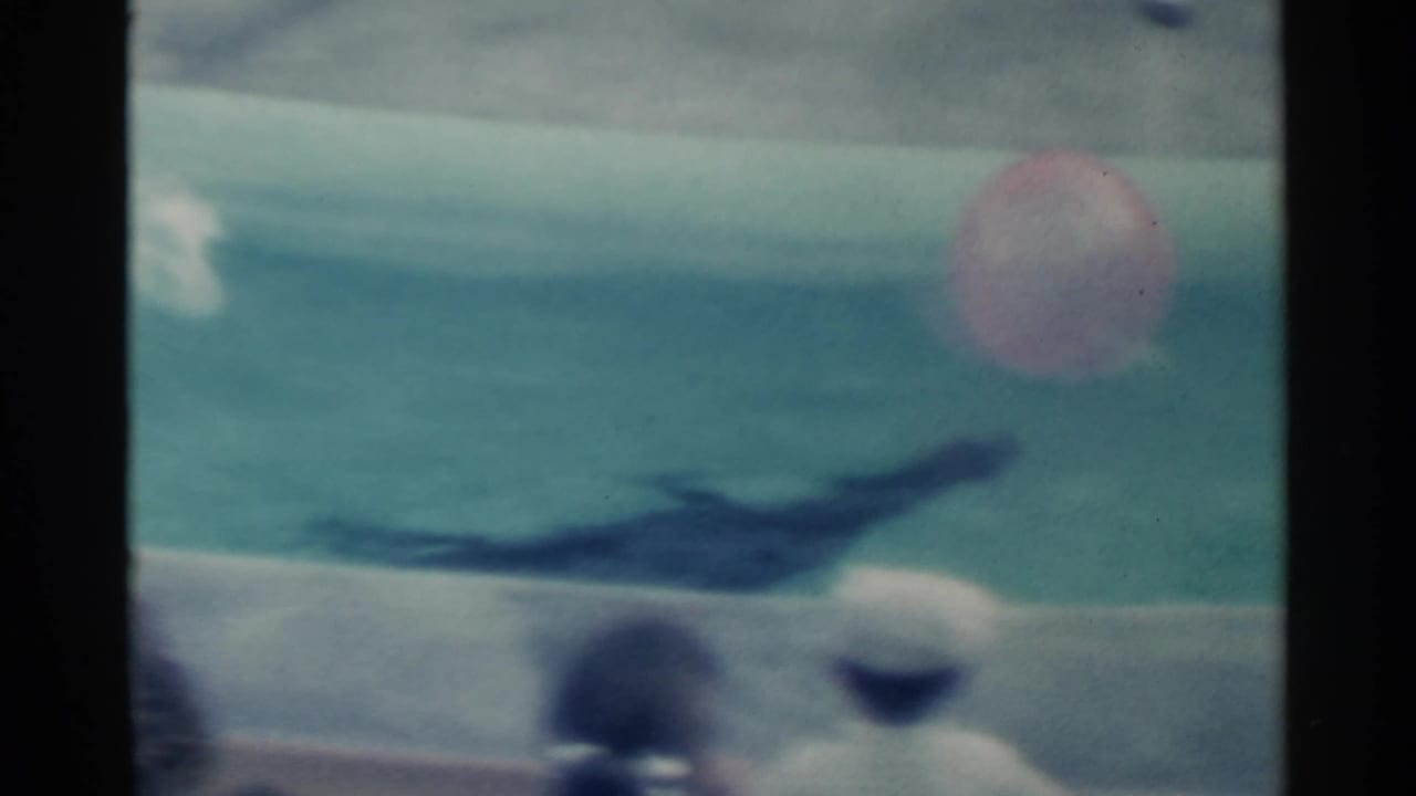 1958 Pearl Harbor home-movie frame showing a seal in the water near a pink ball, with the pool edge and audience heads partly visible.