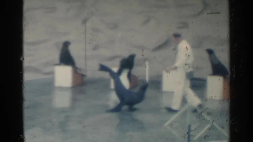1958 Pearl Harbor home-movie frame showing a white-uniformed trainer guiding sea lions on a wet performance stage.